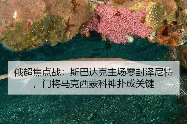 e-chao-jiao-dian-zhan-si-ba-da-ke-zhu-chang-ling-feng-ze-ni-te-men-jiang-ma-ke-xi-meng-ke-shen-pu-cheng-guan-jian-3-231.jpg