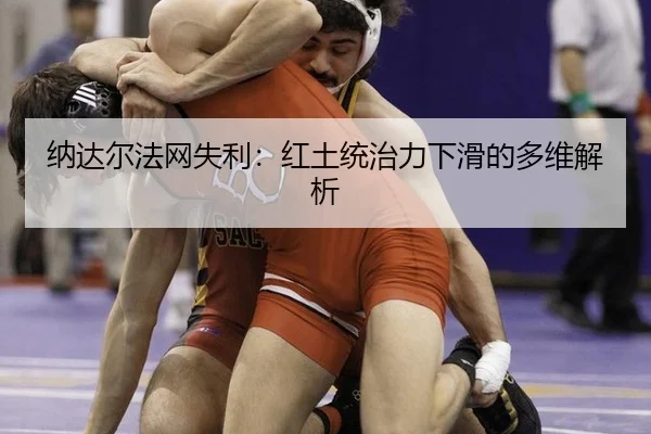na-da-er-fa-wang-shi-li-hong-tu-tong-zhi-li-xia-hua-de-duo-wei-jie-xi-2-397.jpg