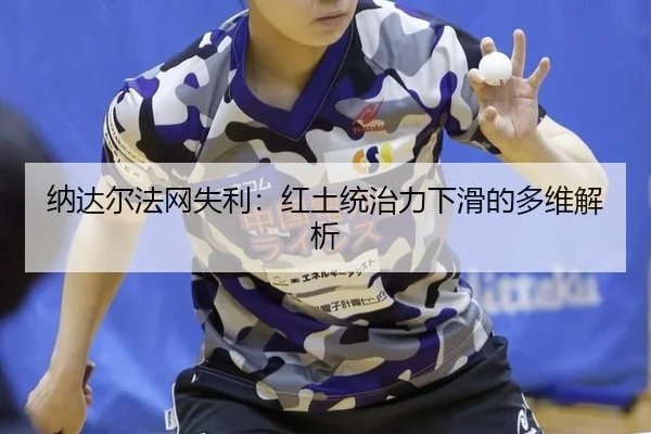 na-da-er-fa-wang-shi-li-hong-tu-tong-zhi-li-xia-hua-de-duo-wei-jie-xi-3-679.jpg