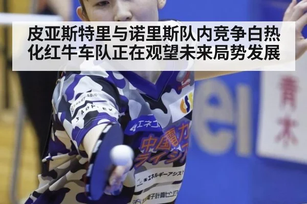 皮亚斯特里与诺里斯队内竞争白热化红牛车队正在观望未来局势发展