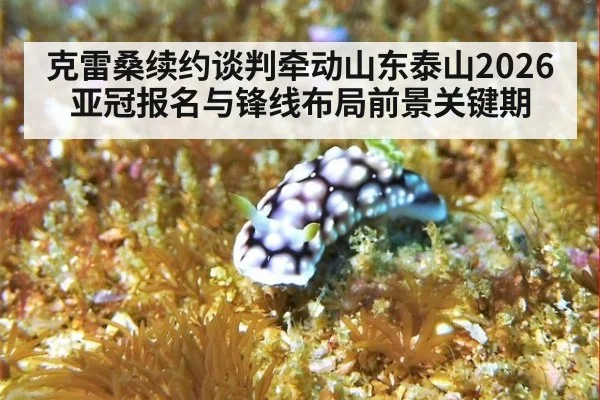 克雷桑续约谈判牵动山东泰山2026亚冠报名与锋线布局前景关键期